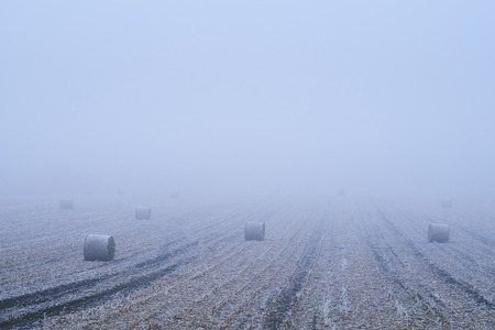 Straw bales on winter field