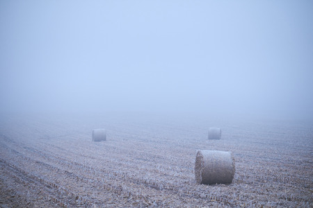 Straw bales on winter fieldの写真素材
