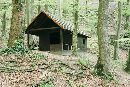 Old cabin in the forestの写真素材