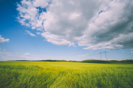 Pylon on the fieldの写真素材