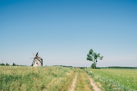 Old dutch windmill on fieldの写真素材