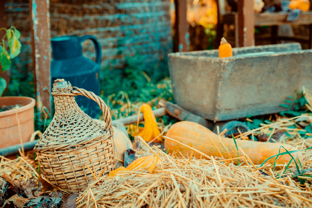 Autumn decoration in the gardenの写真素材