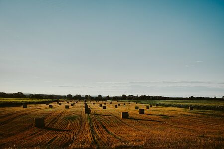 Bales on the fieldの写真素材