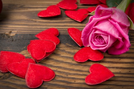 Background rose bloom and red hearts on wooden backgroundの写真素材