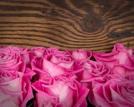 Photo of rose blooms on wooden bacgkroundの写真素材