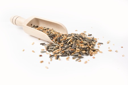 Wooden scoop with seeds isolated on whiteの写真素材
