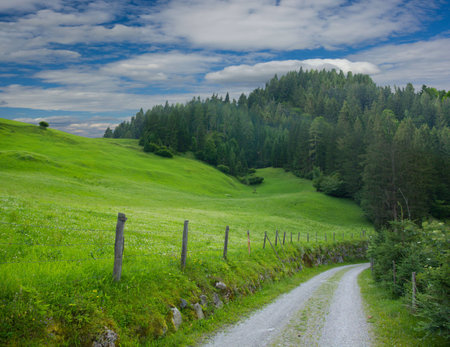 Countryside with road and meadowの写真素材