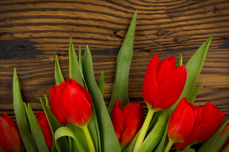 Colorful tulip blooms on wooden backgroundの写真素材