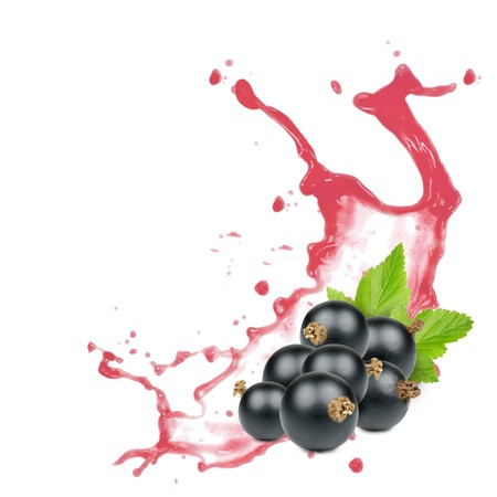 Photo of currant with leaf and splash isolated on whiteの写真素材
