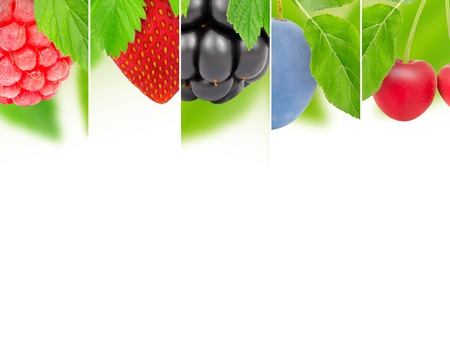 Photo of abstract fruit mix with white space for text