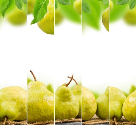 Photo of abstract pear mix with white space for textの写真素材