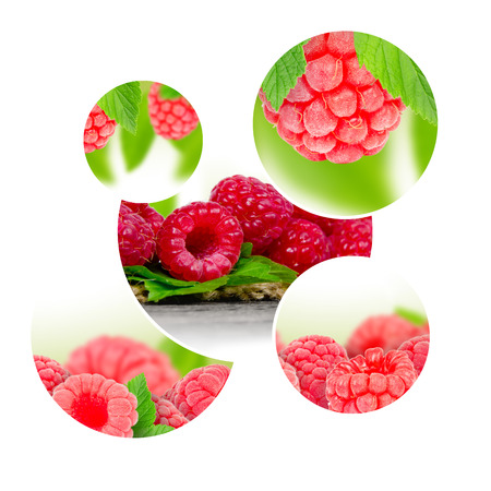 Photo of raspberry mix with leaves and white space