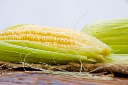 Photo of corn ear with leaves and white space for textの写真素材