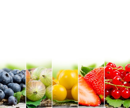 Photo of colorful berry mix with white space for textの写真素材