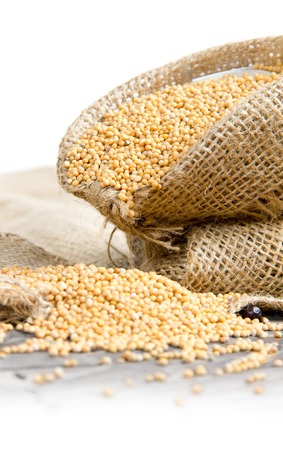 Photo of bag full of mustard seeds with white space