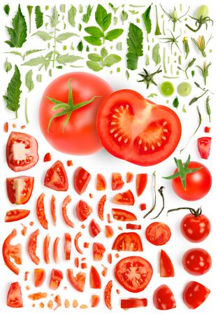 Large collection of red tomato vegetable pieces, slices and leaves isolated on white background. Top view. Seamless abstract pattern.の写真素材