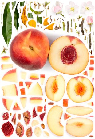 Large collection of peach fruit pieces, slices and leaves isolated on white background. Top view. Seamless abstract pattern.の写真素材
