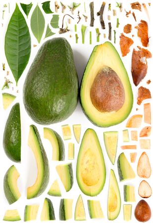 Large collection of green avocado pieces, slices and leaves isolated on white background. Top view. Seamless abstract pattern.の写真素材