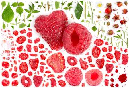Large collection of raspberry fruit pieces, slices and leaves isolated on whiteの写真素材