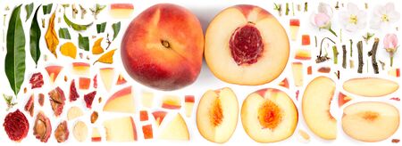 Large collection of peach fruit pieces, slices and leaves isolated on white background. Top view. Seamless abstract pattern.の写真素材