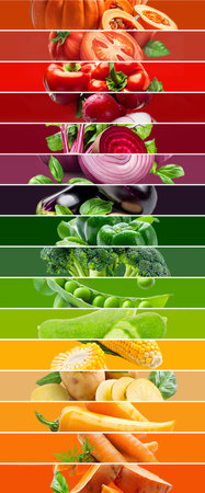 Rainbow color mix stripes with perfect vegetables, slices and leaves isolated on color background. Healthy, organic, bio food concept. Abstract background, side view.の素材
