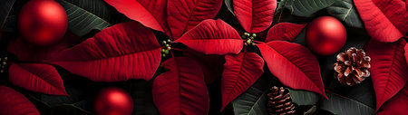 Abstract background with red Poinsettia leaves. Horizontal composition, banner.の素材