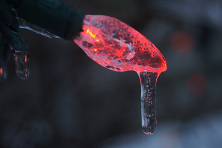 Icicle hanging from red Christmas lightの写真素材