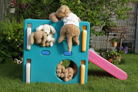 Stuffed dogs climbing on a playset, garden background.