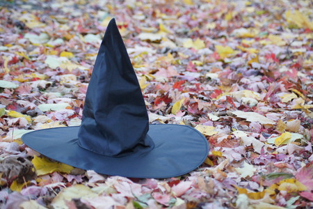 Witches hat amongst fallen leaves.