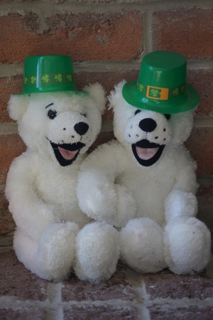 Two white teddy bears wearing St. Patricks Day hats.の写真素材