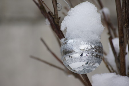 Pretty silver Christmas ornament hanging on a branch covered in snow.の写真素材