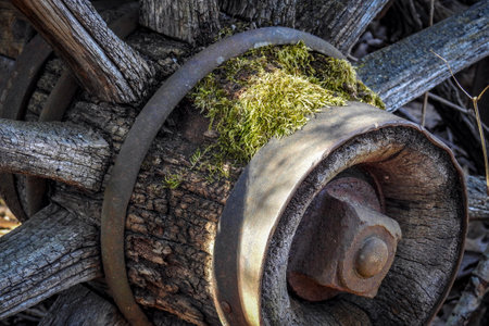 Old wooden wheel with moss and a rusty bolt in the garden.