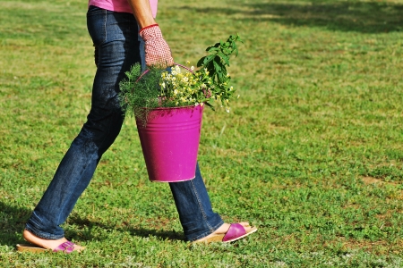 Female gardener walking while holding a bucket full of herbsの写真素材