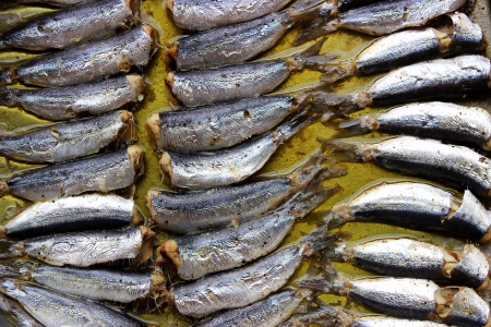 Baked greek sardines in the oven with olive oilの写真素材