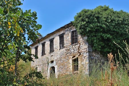 Ruin of an old, abandoned stone house among trees and high grass, at south Pelion, Greeceの写真素材