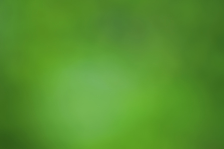 Abstract greenish blured background of de-focused leavesの写真素材