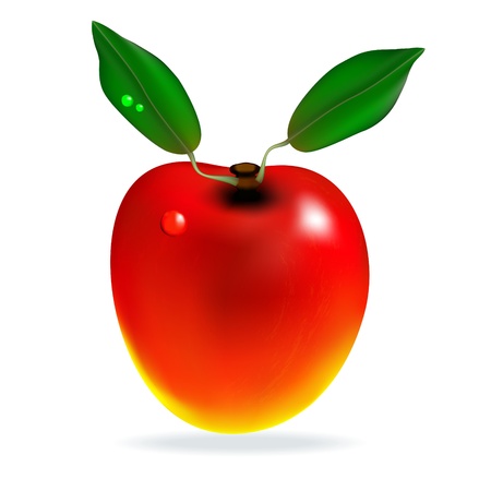 Red Mango with leaves on white background     のイラスト素材