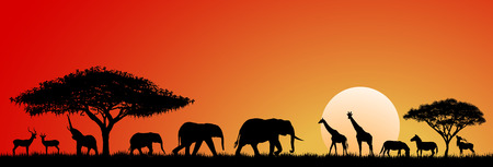Silhouettes of wild animals of the African savannah.のイラスト素材