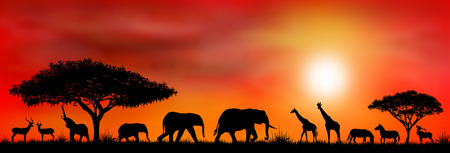 Silhouettes of wild animals of the African savannah.の写真素材