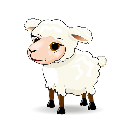 Cartoon sheep on white background.のイラスト素材