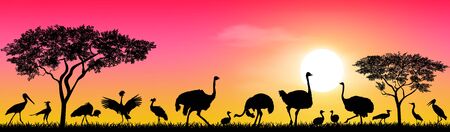 Wild birds of the African savannah against the sky and the sun. Silhouettes of different birds. Wildlife of Africa.のイラスト素材