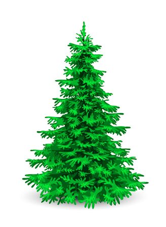 Christmas tree. Herringbone on a white background. Evergreen coniferous tree.のイラスト素材