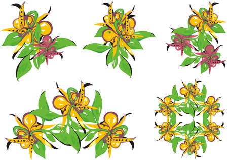 Orchid flowers set on a white backdrop. Blossoming abstract beautiful flowers such as a orchid for wallpaper, textile, prints on t-shirts, decorative compositions, etc.のイラスト素材