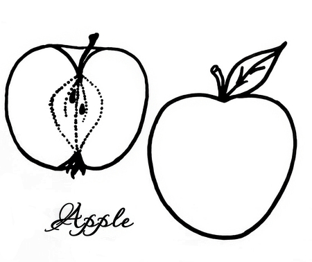 Isolated apple in the cut and whole apple sketch with a title on a white background.のイラスト素材