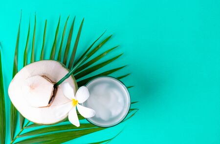 Green leaves palm and fresh coconut isolated on pastel green background. Flat lay, top viewの写真素材