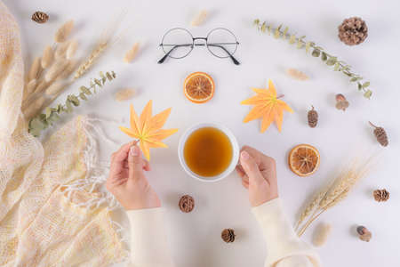 Female holding cup of tea over  autumn background.の写真素材