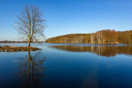 Scenic view of a lake with calm water and a reflection of a tree growing on a little island and woodland in the background on the horizon. Bright sunny spring day with blue sky.の写真素材