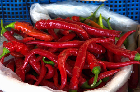 red bitter pepper harvest newの写真素材