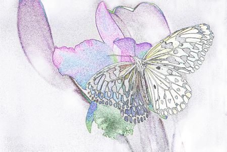 Butterfly and flower painting.の写真素材