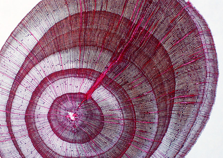 Cell Gene Microscopic Series
